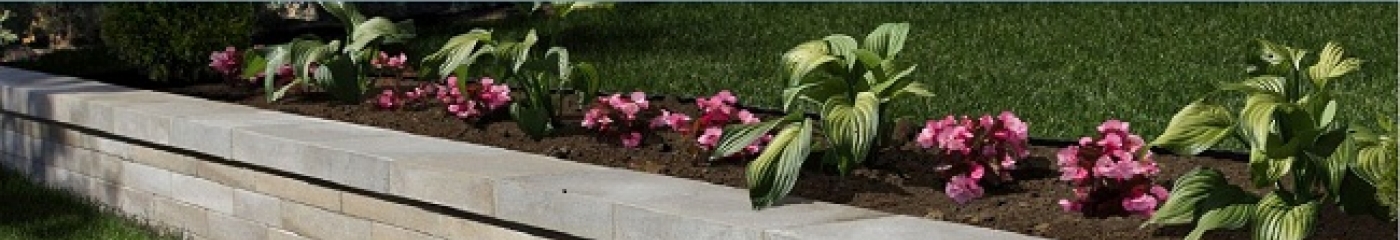 Adams landscape supply